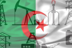 معرفی پلتفرم ویژه سرمایه‌گذاران در الجزایر